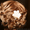 Спешите Скоро начало Курсы Плетение на волосах  Академия успеха Николаев - <ro>Изображение</ro><ru>Изображение</ru> #1, <ru>Объявление</ru> #913115