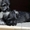 ПРОДАЮТСЯ 2-х месячные щенки цвергшнауцера - <ro>Изображение</ro><ru>Изображение</ru> #3, <ru>Объявление</ru> #945486