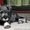 ПРОДАЮТСЯ 2-х месячные щенки цвергшнауцера - <ro>Изображение</ro><ru>Изображение</ru> #9, <ru>Объявление</ru> #945486