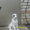 продам породистого щенка туркменского волкодава - <ro>Изображение</ro><ru>Изображение</ru> #4, <ru>Объявление</ru> #976834