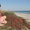 Детский отдых на море \"Кинбурнская коса\". - <ro>Изображение</ro><ru>Изображение</ru> #3, <ru>Объявление</ru> #1013921