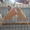 Продажа Волнистых Папугаев - <ro>Изображение</ro><ru>Изображение</ru> #3, <ru>Объявление</ru> #1142703