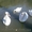 Купить Лебедя белого, черного, черношеего можно у нас. Продам лебедя - <ro>Изображение</ro><ru>Изображение</ru> #1, <ru>Объявление</ru> #1296317