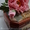 Курсы кондитеров  в Николаеве.  Сахарные цветы #1286382