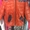 Детские куртки,ветровки - <ro>Изображение</ro><ru>Изображение</ru> #5, <ru>Объявление</ru> #1376710