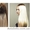 Курсы наращивания волос у УЦ Твой Успех в Николаеве #1543238