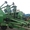 Сеялка зерновая Great Plains 2SF-30, механическая.  - <ro>Изображение</ro><ru>Изображение</ru> #3, <ru>Объявление</ru> #1581087