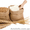 Куплю пшеницу в Николаеве и области - <ro>Изображение</ro><ru>Изображение</ru> #2, <ru>Объявление</ru> #1623941