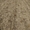 Продам Сад грецкого ореха - <ro>Изображение</ro><ru>Изображение</ru> #2, <ru>Объявление</ru> #1684853