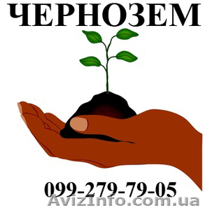 продажа чернозема николаев - <ro>Изображение</ro><ru>Изображение</ru> #1, <ru>Объявление</ru> #295855