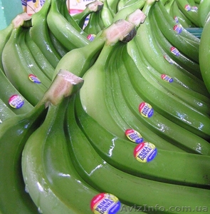 продажа бананов - <ro>Изображение</ro><ru>Изображение</ru> #1, <ru>Объявление</ru> #481449