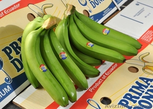 продажа бананов - <ro>Изображение</ro><ru>Изображение</ru> #2, <ru>Объявление</ru> #481449