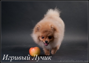 Померашки .........