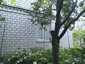 продам  дачу ухоженную с ремонтом  окна металлопласт сад  огород  ухоженный  2 - <ro>Изображение</ro><ru>Изображение</ru> #7, <ru>Объявление</ru> #870912