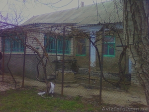 Дом за городом, село Марьевка - <ro>Изображение</ro><ru>Изображение</ru> #1, <ru>Объявление</ru> #1247569