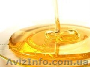 Куплю мёд и продукты пчеловодства - <ro>Изображение</ro><ru>Изображение</ru> #1, <ru>Объявление</ru> #1299383