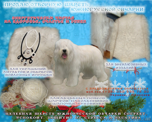 Продаю натуральную, энергетически чистую шерсть южнорусской овчарки. - <ro>Изображение</ro><ru>Изображение</ru> #1, <ru>Объявление</ru> #1350930