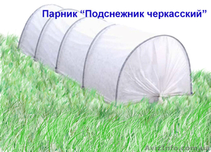 Зашита растений в любое время года - <ro>Изображение</ro><ru>Изображение</ru> #1, <ru>Объявление</ru> #1467783