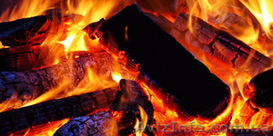 Дрова в Херсоне.