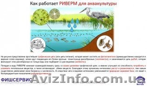 Удобрение для прудов РИВЕРМ (аквакультура) - <ro>Изображение</ro><ru>Изображение</ru> #2, <ru>Объявление</ru> #1560789