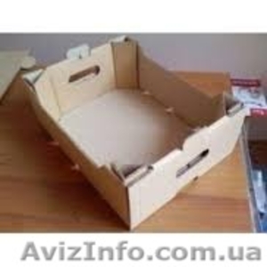 Картонный ящик ,картонный лоток под виноград  - <ro>Изображение</ro><ru>Изображение</ru> #2, <ru>Объявление</ru> #1568677