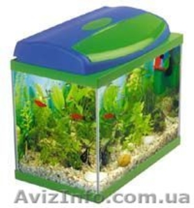 аквариум с крышкой 40 л - <ro>Изображение</ro><ru>Изображение</ru> #1, <ru>Объявление</ru> #1566164