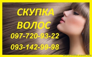 Продать Волосы от 40 см. Цена Волос. Купим волосы дорого. - <ro>Изображение</ro><ru>Изображение</ru> #1, <ru>Объявление</ru> #1575634
