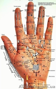 Диагностика организма за час по аккупунктурным точкам на руке - <ro>Изображение</ro><ru>Изображение</ru> #1, <ru>Объявление</ru> #1607096