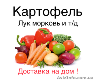 Картошка 6гр бесплатная доставка от 200 кг занесём на любой етаж - <ro>Изображение</ro><ru>Изображение</ru> #1, <ru>Объявление</ru> #1631867