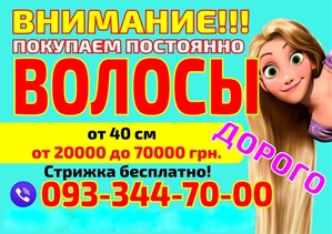 Куплю Продать волосы в Николаеве - <ro>Изображение</ro><ru>Изображение</ru> #1, <ru>Объявление</ru> #1703312
