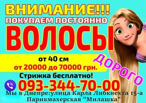 Куплю волосы в Днепре .Дорого.Стрижка бесплатно