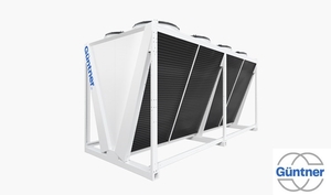 GUNTNER- отсутствие разочарований. 