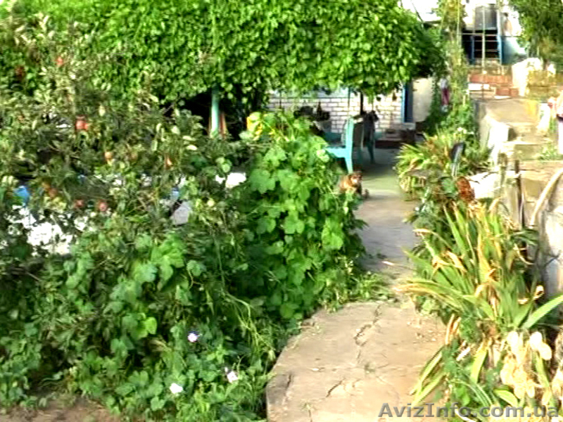 Дом на берегу реки в с. Лиманы - <ro>Изображение</ro><ru>Изображение</ru> #3, <ru>Объявление</ru> #105507