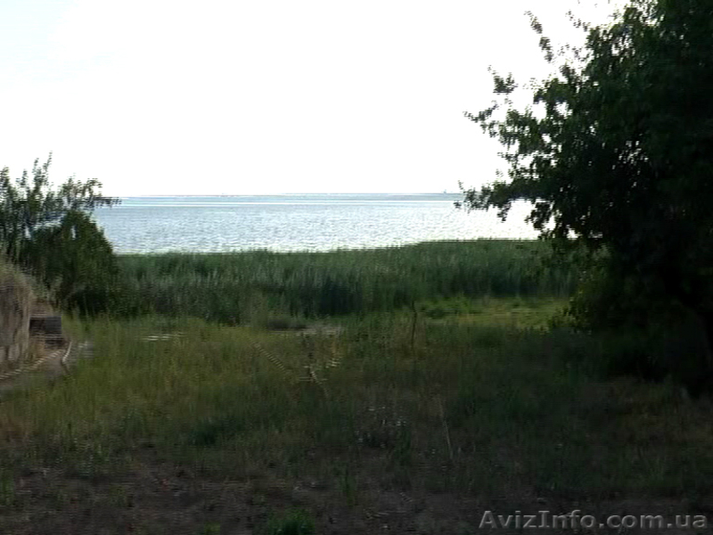 Дом на берегу реки в с. Лиманы - <ro>Изображение</ro><ru>Изображение</ru> #4, <ru>Объявление</ru> #105507