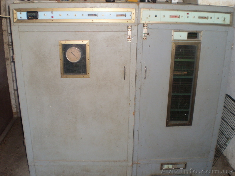 Инкубатор на 5000 яиц - <ro>Изображение</ro><ru>Изображение</ru> #1, <ru>Объявление</ru> #134277