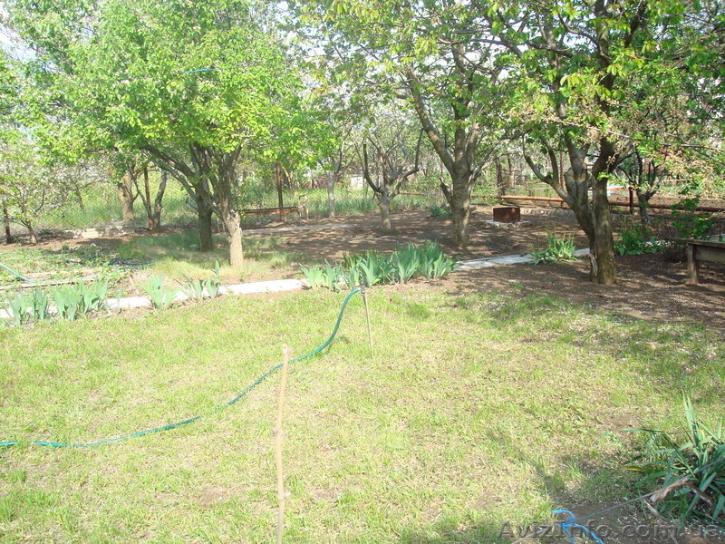 Продаю дачу в Себино - <ro>Изображение</ro><ru>Изображение</ru> #7, <ru>Объявление</ru> #138882