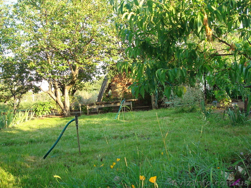 Продаю дачу в Себино - <ro>Изображение</ro><ru>Изображение</ru> #9, <ru>Объявление</ru> #138882