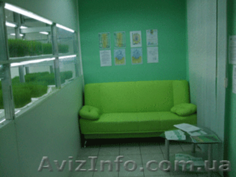 ТМ "Жизнь". Сок ростков пшеницы. - <ro>Изображение</ro><ru>Изображение</ru> #5, <ru>Объявление</ru> #47804