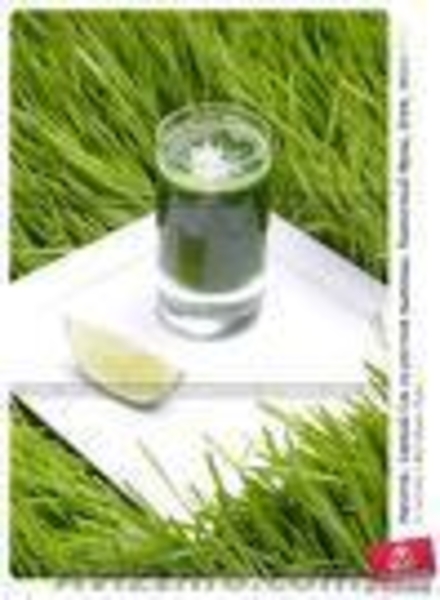 ТМ "Жизнь". Сок ростков пшеницы. - <ro>Изображение</ro><ru>Изображение</ru> #7, <ru>Объявление</ru> #47804