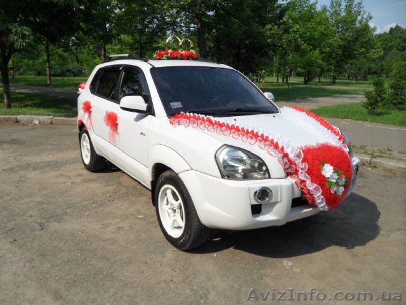 Белоснежные свадебные автомобили Toyota Camry Hybrid и Hyundai Tucson - <ro>Изображение</ro><ru>Изображение</ru> #9, <ru>Объявление</ru> #216366