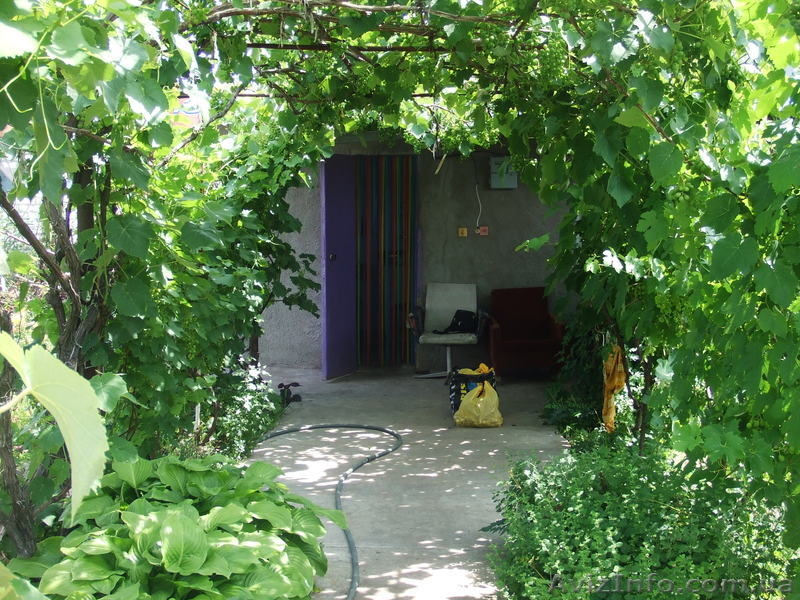 Дачный участок с постройками - <ro>Изображение</ro><ru>Изображение</ru> #3, <ru>Объявление</ru> #311770