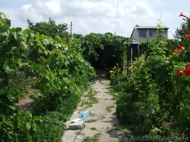 Дачный участок с постройками - <ro>Изображение</ro><ru>Изображение</ru> #4, <ru>Объявление</ru> #311770