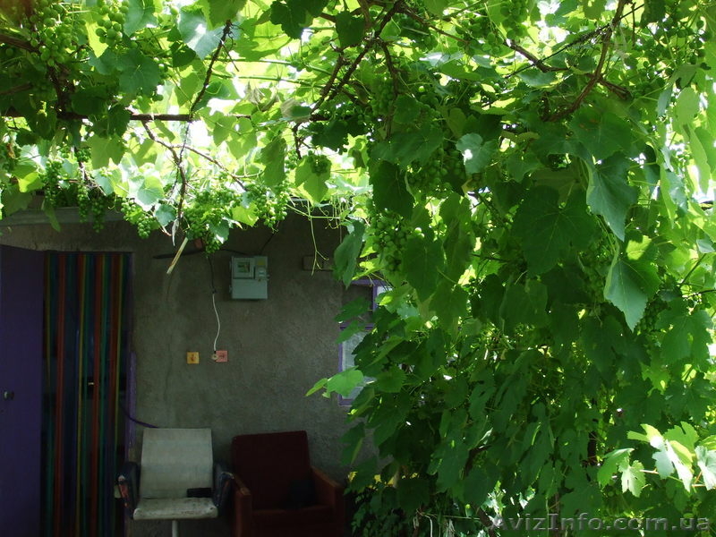 Дачный участок с постройками - <ro>Изображение</ro><ru>Изображение</ru> #7, <ru>Объявление</ru> #311770