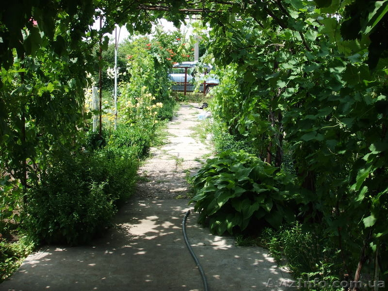 Дачный участок с постройками - <ro>Изображение</ro><ru>Изображение</ru> #8, <ru>Объявление</ru> #311770