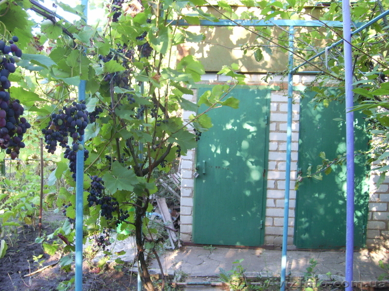 Продаю дачу в Лупарево - <ro>Изображение</ro><ru>Изображение</ru> #3, <ru>Объявление</ru> #376461