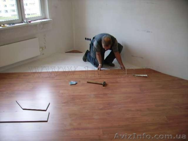 niktesla_90@mail.ru, 0631888504 - <ro>Изображение</ro><ru>Изображение</ru> #2, <ru>Объявление</ru> #375070