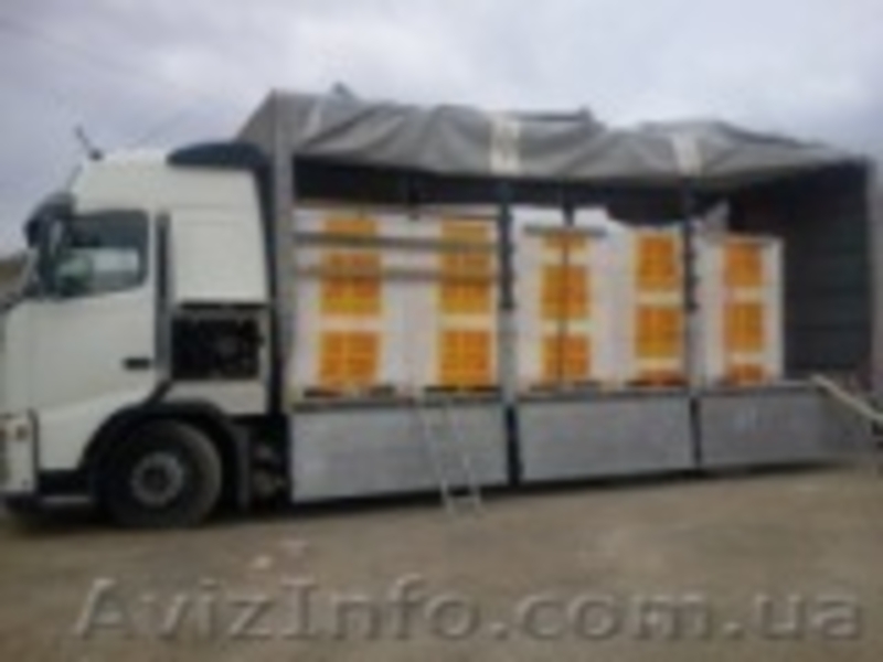 Газобетон от производителя - <ro>Изображение</ro><ru>Изображение</ru> #3, <ru>Объявление</ru> #407072