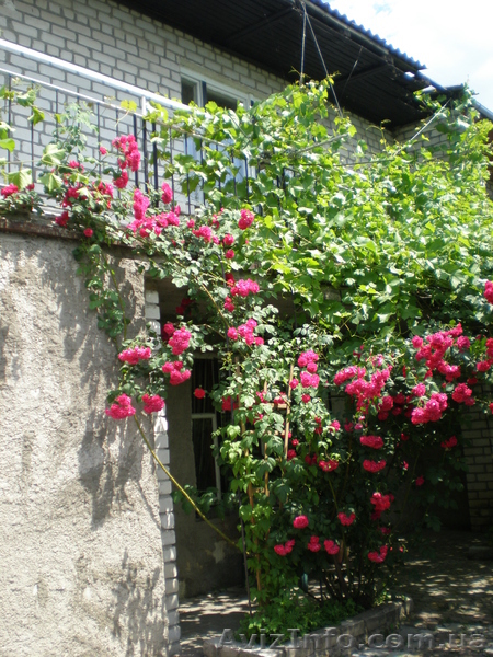  дом  на берегу реки - <ro>Изображение</ro><ru>Изображение</ru> #6, <ru>Объявление</ru> #444205