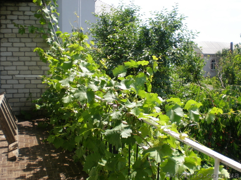  дом  на берегу реки - <ro>Изображение</ro><ru>Изображение</ru> #9, <ru>Объявление</ru> #444205