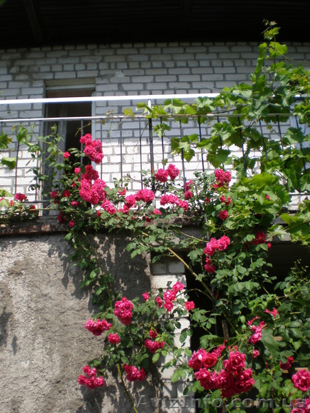  дом  на берегу реки - <ro>Изображение</ro><ru>Изображение</ru> #10, <ru>Объявление</ru> #444205